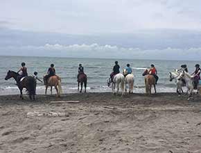 centre equestre la catherine