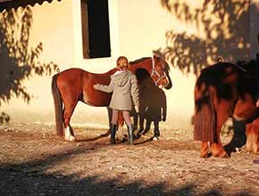 centre equestre la catherine