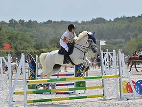 centre equestre la catherine