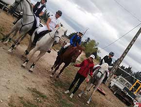 centre equestre la catherine