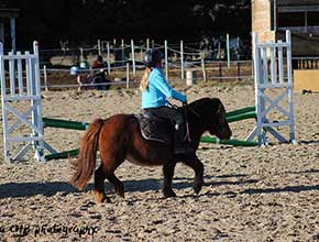 centre equestre la catherine