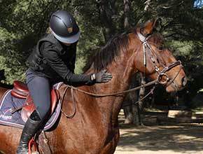 centre equestre la catherine