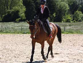 centre equestre la catherine