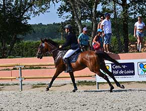 centre equestre la catherine