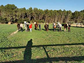 centre equestre la catherine