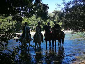 centre equestre la catherine