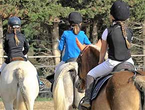 centre equestre la catherine