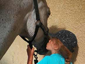 centre equestre la catherine