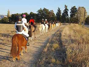 centre equestre la catherine