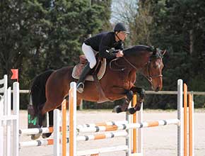 centre equestre la catherine