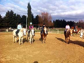 centre equestre la catherine