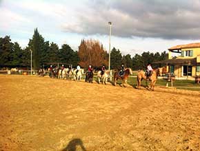 centre equestre la catherine