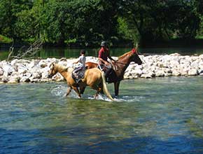 centre equestre la catherine