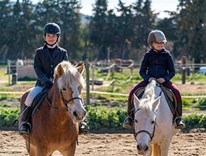 centre equestre la catherine