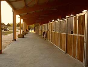 centre equestre la catherine